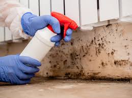 Lexington, OK Mold Removal Services Company